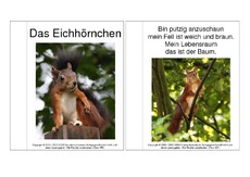 Mini-Buch-Eichhörnchen-Gedicht-Fotos-2.pdf